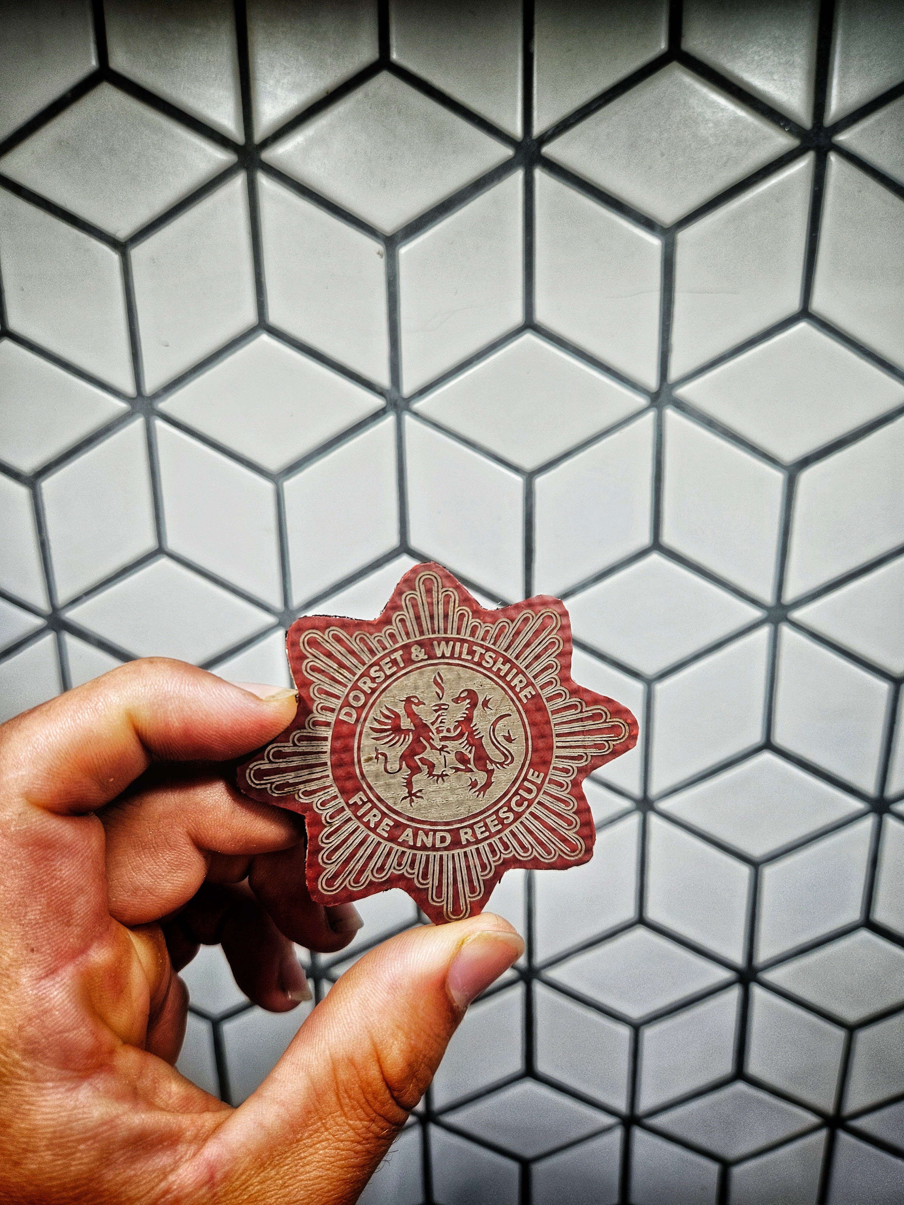 Dorset and Wiltshire Fire and Reacue Patch