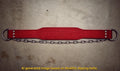 THE HOSE AND LINE DIPPING BELT